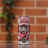 Saline Feline Raspberry Gose